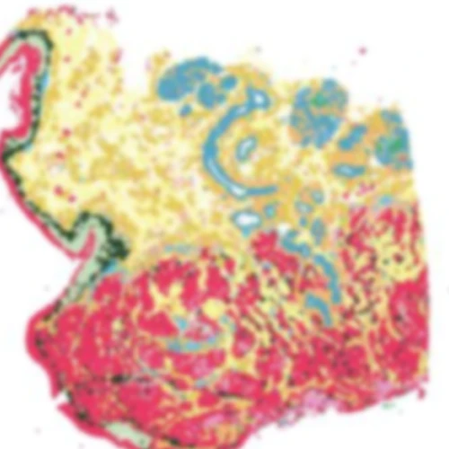 Dynamic Content Image