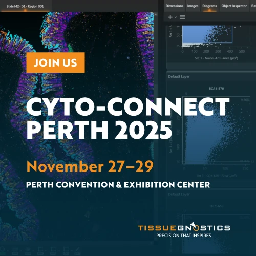 Dynamic Content Image