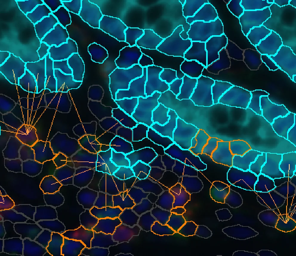 Dynamic Content Image