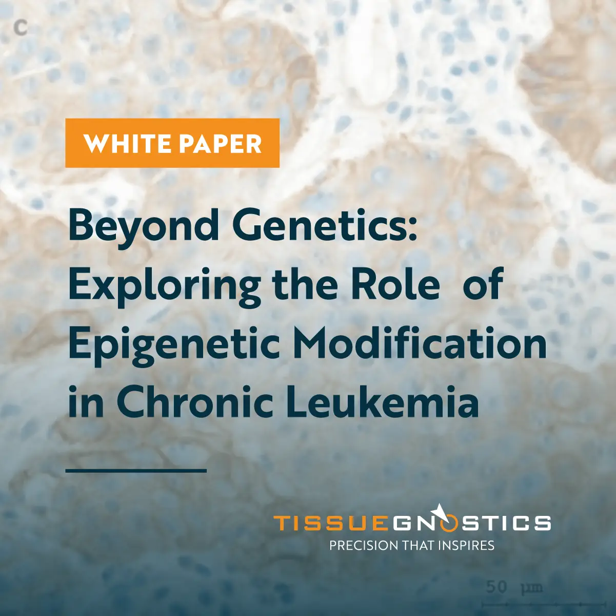 Dynamic Content Image