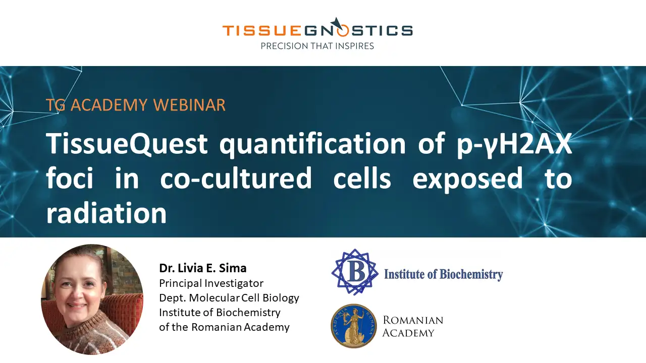 Dynamic Content Image