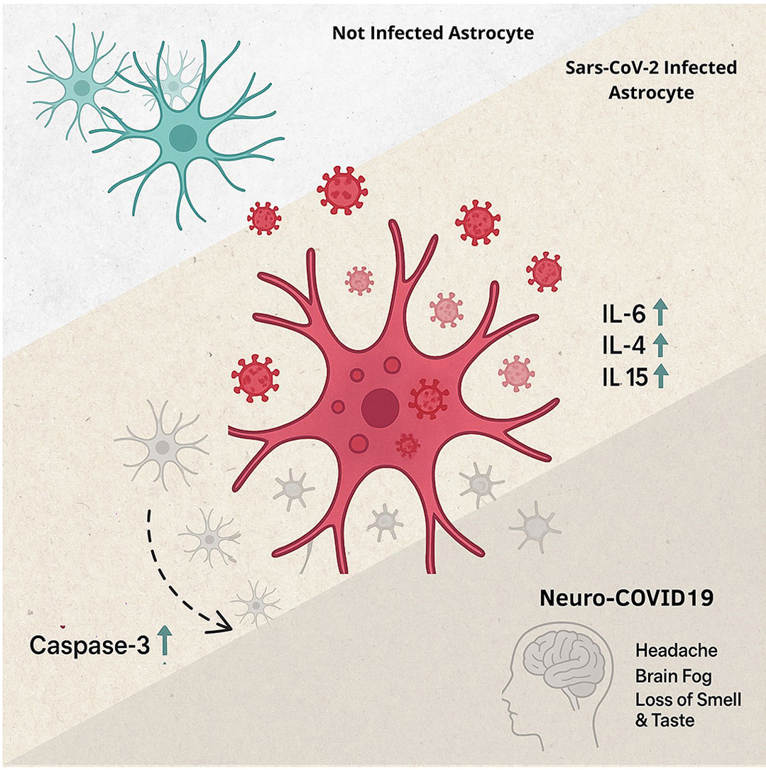 Dynamic Content Image