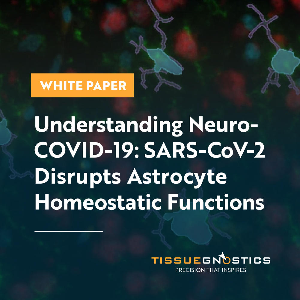 Dynamic Content Image