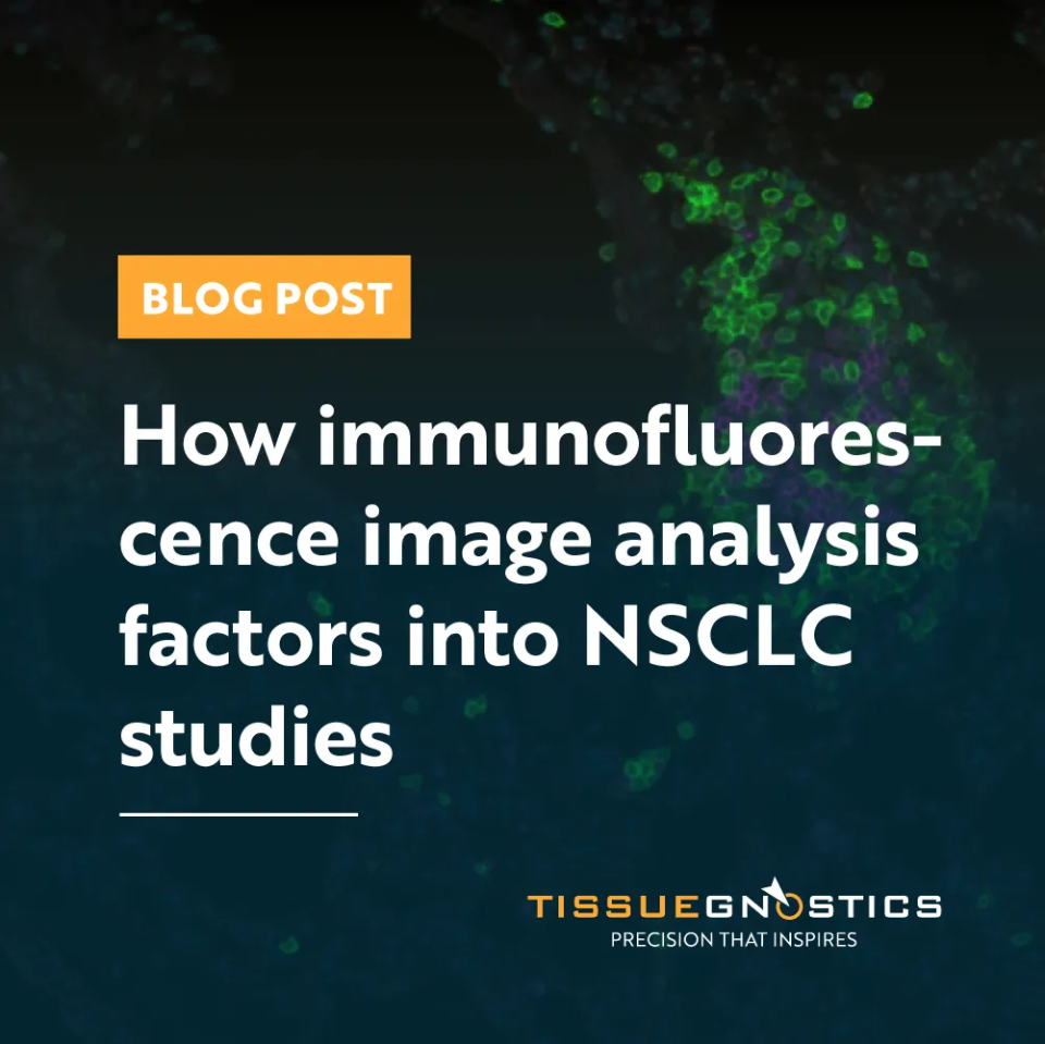 Dynamic Content Image