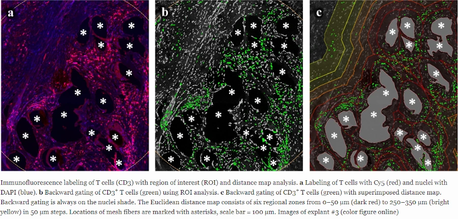 Dynamic Content Image