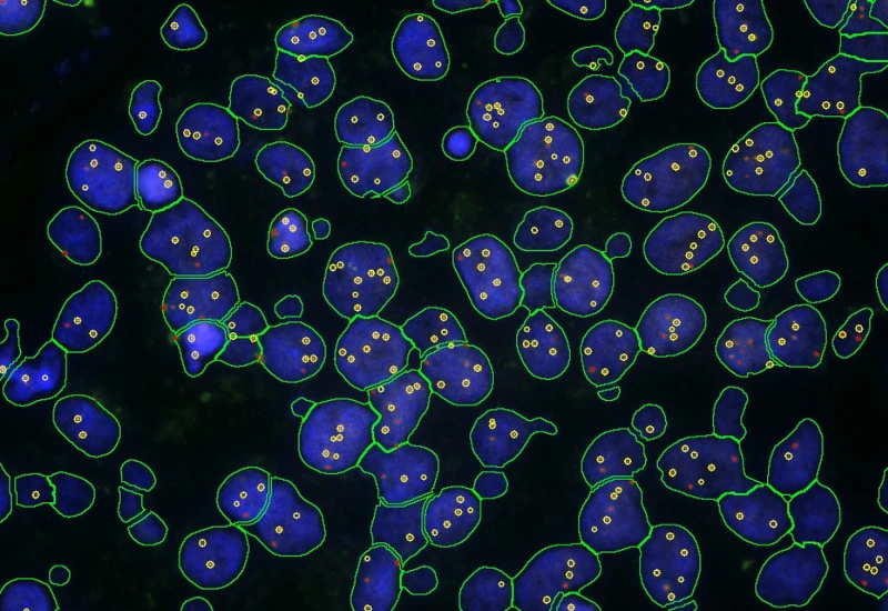 Dynamic Content Image