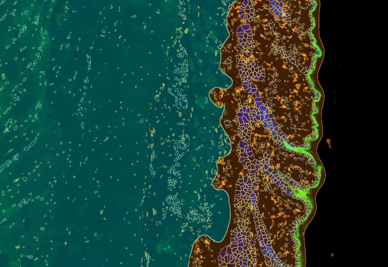 Dynamic Content Image