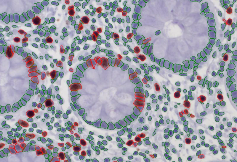 Dynamic Content Image