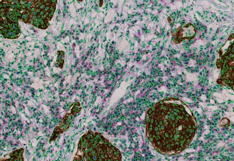 Dynamic Content Image