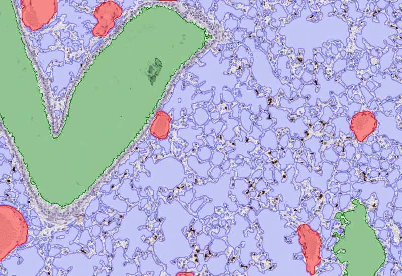 Dynamic Content Image