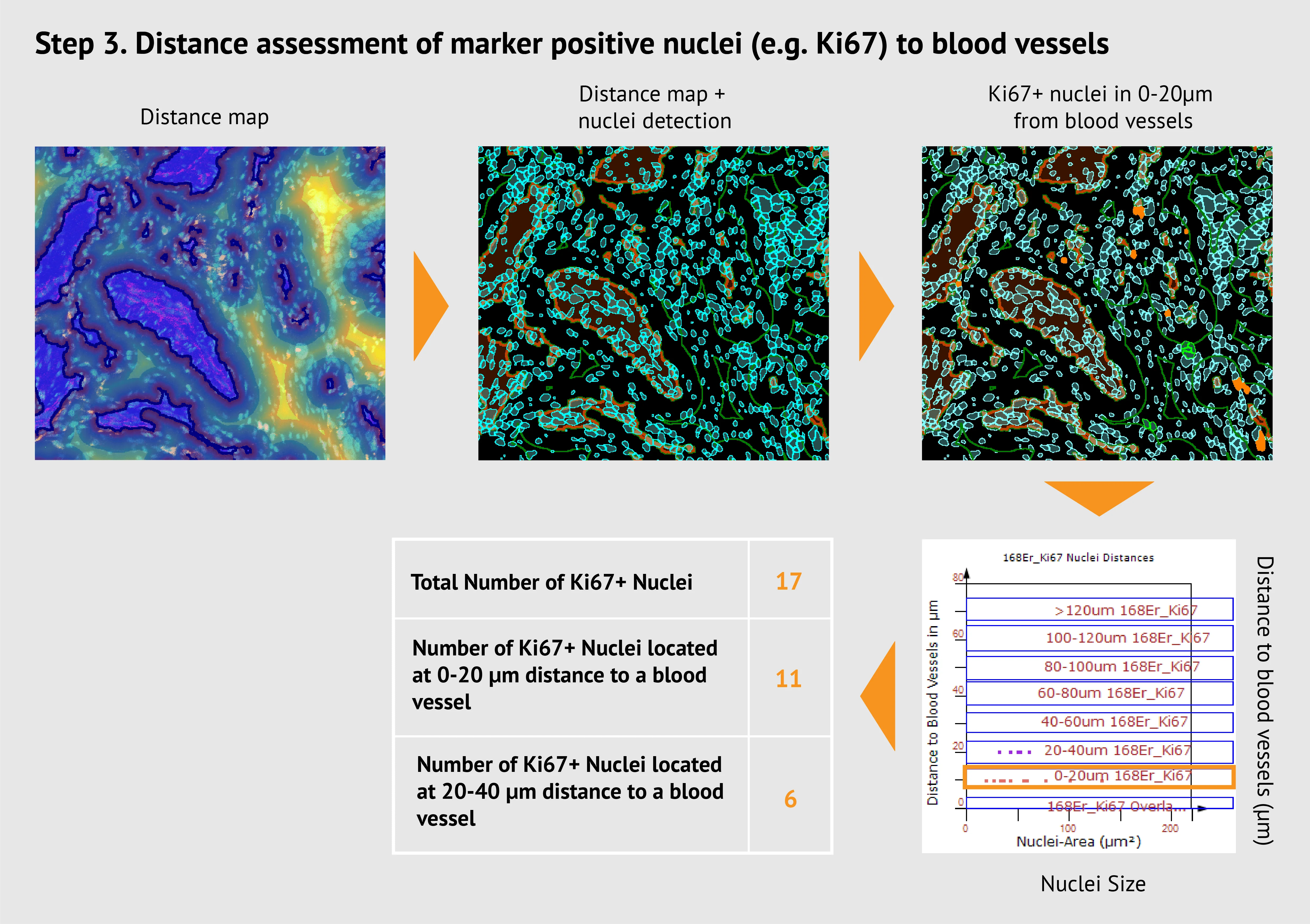 Asset 4Case Study min