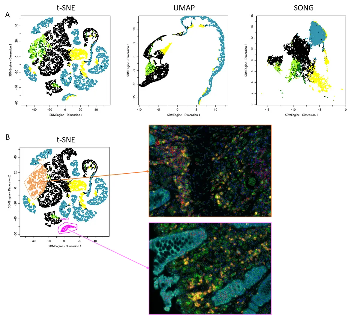 dimensionality reduction min