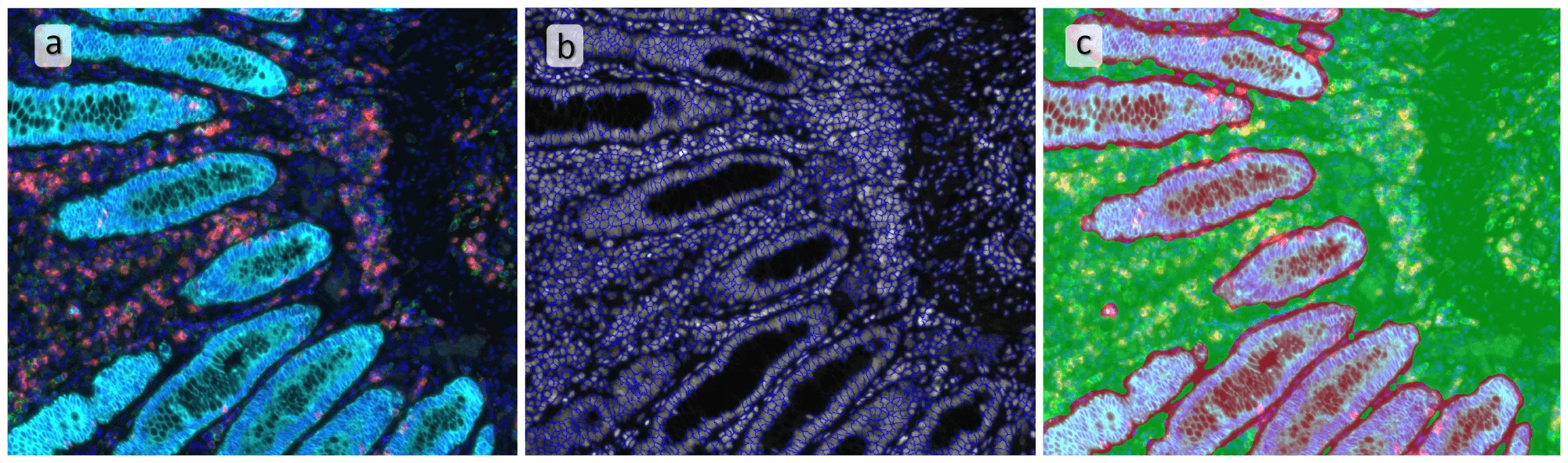 TMA spectral 3pics min 1