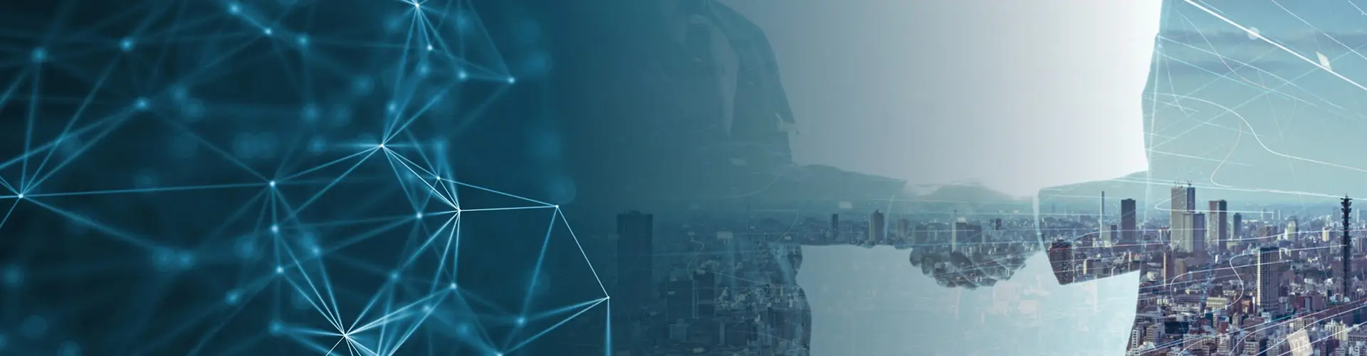 Global Business and research partners